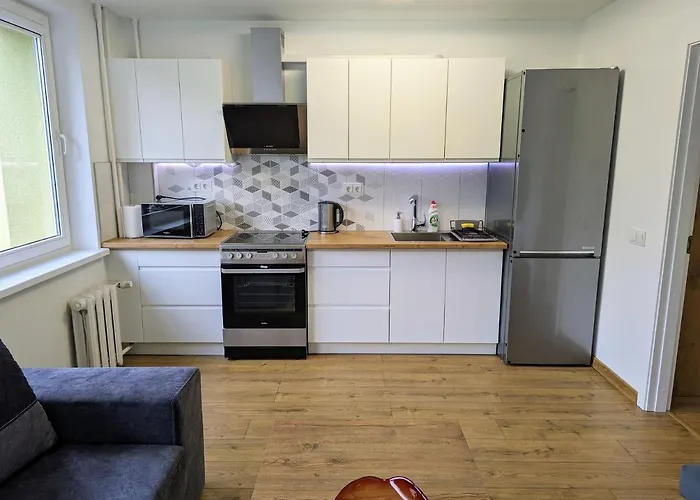 Apartment Lovely 2-bedroom Flat In The Heart Of Druskininkai